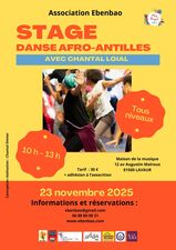Stage Danse.jpg